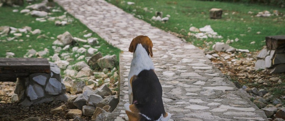 brown and white ceramic bird figurine