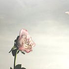 Letter to My Karass
