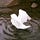 Tears From Heaven