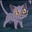 imit's avatar