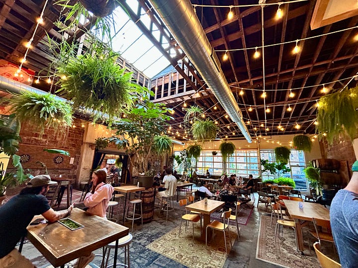 beer, plants, sign, interior
