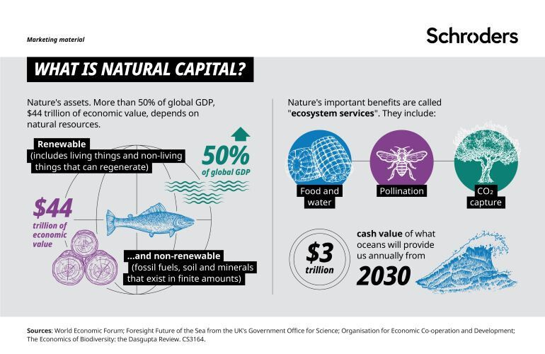 CS3164_SC_Natural_Capital_InfographicAF