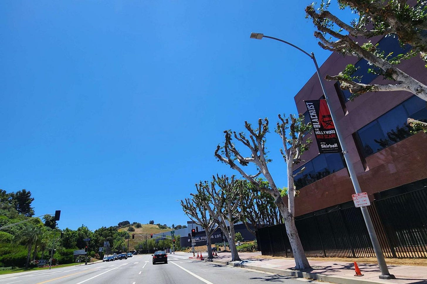 Severely trimmed trees outside Universal Studios near the picket line . Popular shade spot during the strike.