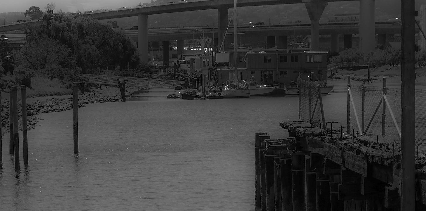 Sipp's Creek, showing rotting wharves and some of the boats and houseboats residing there.