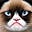 wassname's avatar