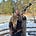 Jason Dodge's avatar