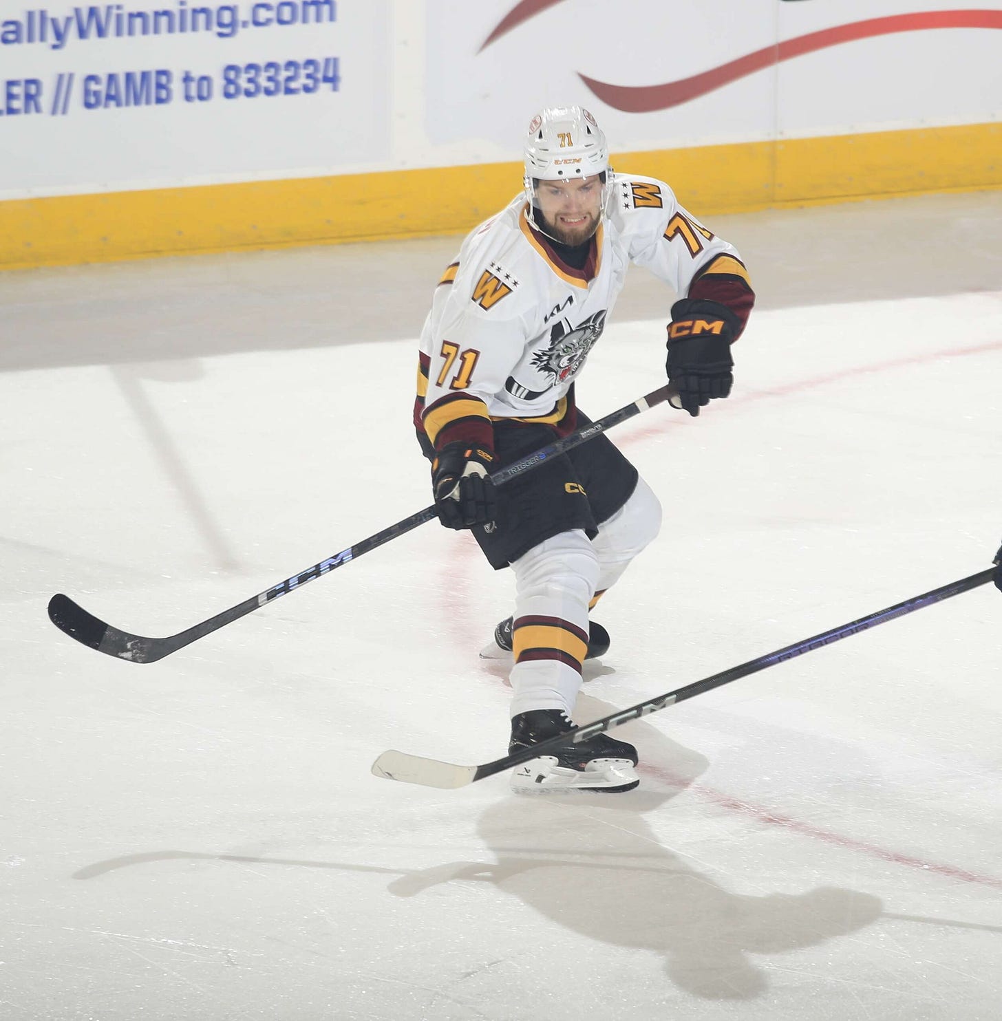 Familiar faces - Chicago Wolves Familiar faces - Chicago Wolves
