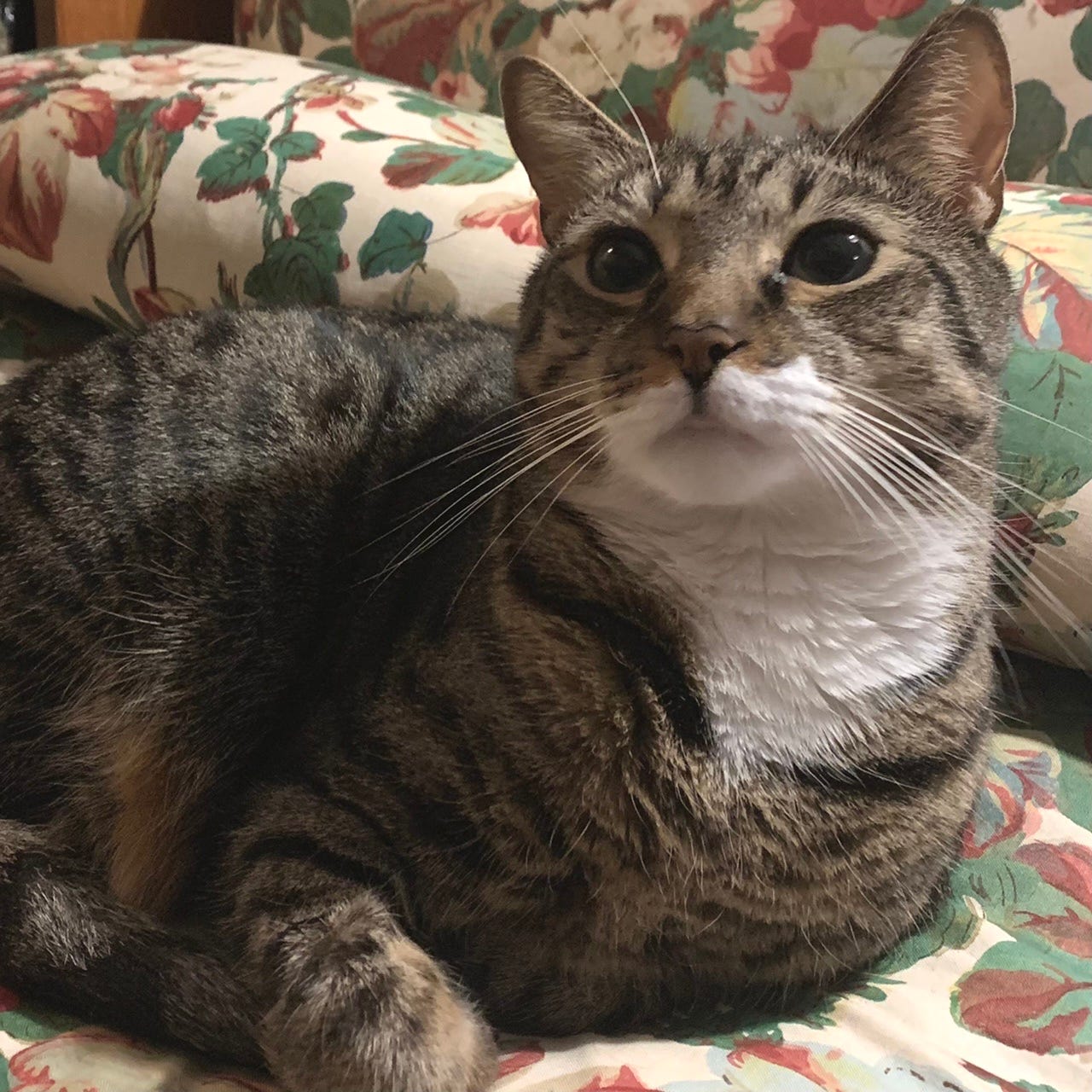 Jimmy, alert as ever.