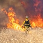 Six Months Later: What the LA Fires Left Behind