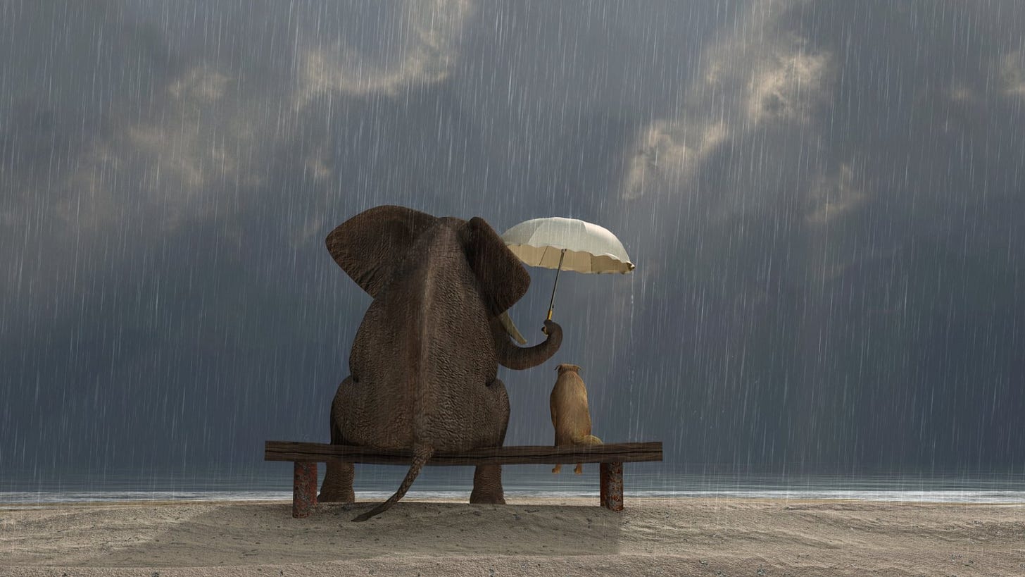 Make a Big Difference--One Small Act of Kindness at a Time | Inc.com