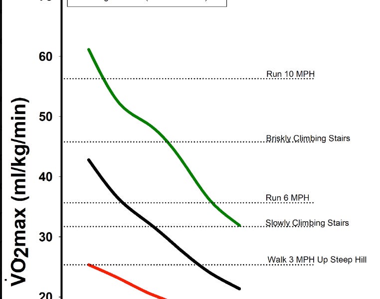 The VO2 Max Guide: Everything You Need to Know About