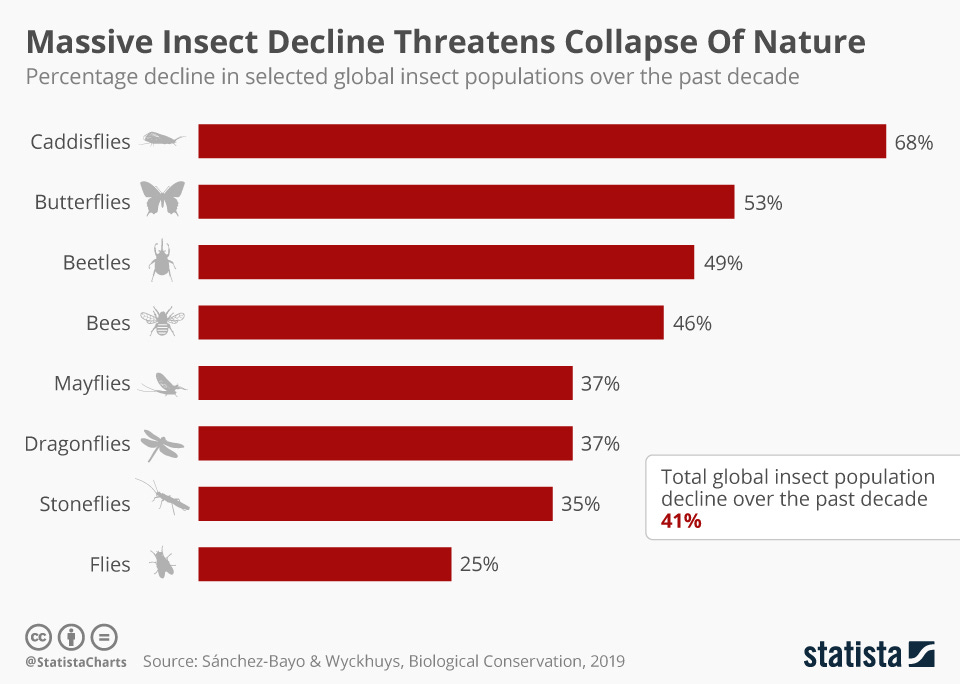 Infographic: Massive Insect Decline Threatens Collapse Of Nature | Statista Infographic: Massive Insect Decline Threatens Collapse Of Nature | Statista