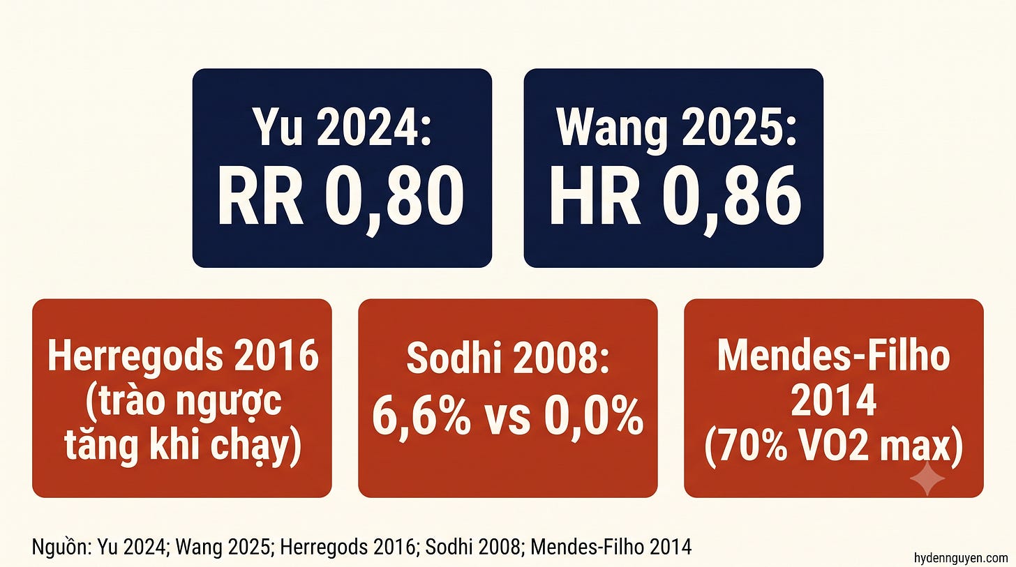 Bảng tóm tắt năm nghiên cứu về tập thể dục và trào ngược: Yu 2024 (RR 0,80), Wang 2025 (HR 0,86) là dữ liệu quần thể; Herregods 2016 (trào ngược tăng khi chạy), Sodhi 2008 (6,6% so với 0,0% thời gian trào ngược), Mendes-Filho 2014 (70% VO2 max) là thí nghiệm nhỏ trong buổi tập. Bảng tóm tắt năm nghiên cứu về tập thể dục và trào ngược: Yu 2024 (RR 0,80), Wang 2025 (HR 0,86) là dữ liệu quần thể; Herregods 2016 (trào ngược tăng khi chạy), Sodhi 2008 (6,6% so với 0,0% thời gian trào ngược), Mendes-Filho 2014 (70% VO2 max) là thí nghiệm nhỏ trong buổi tập.
