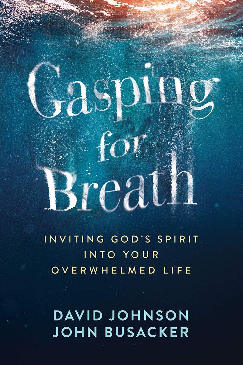 Image of a book cover from Gasping for Breath by David Johnson and John Busacker.