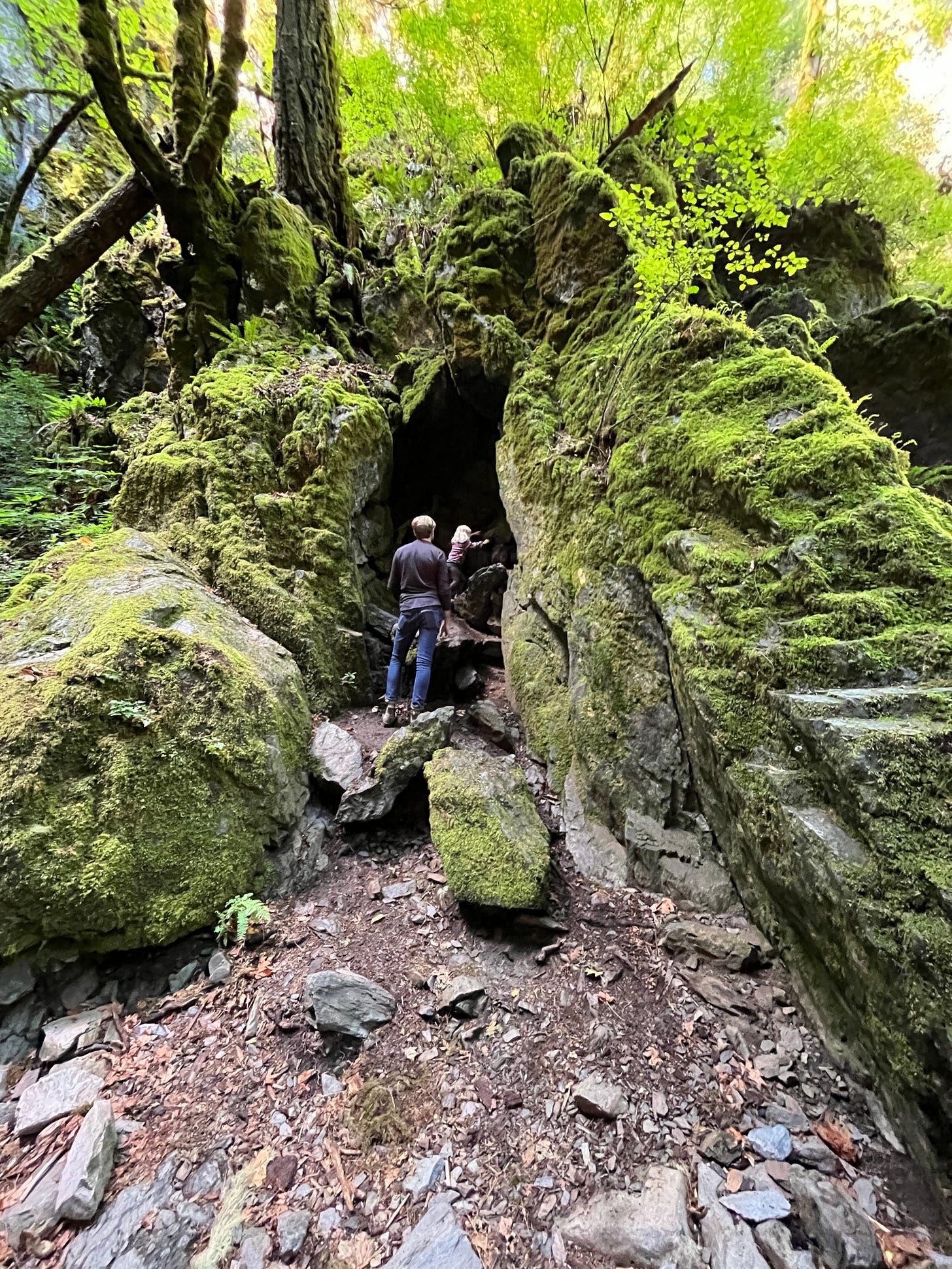 a small child climbs into a dark cave, her dad stands behind spotting her. the rocks are lush with green moss. 