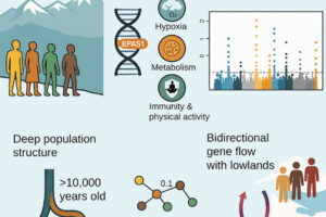 Graphical abstract from study