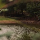 A hill and I - Autumn