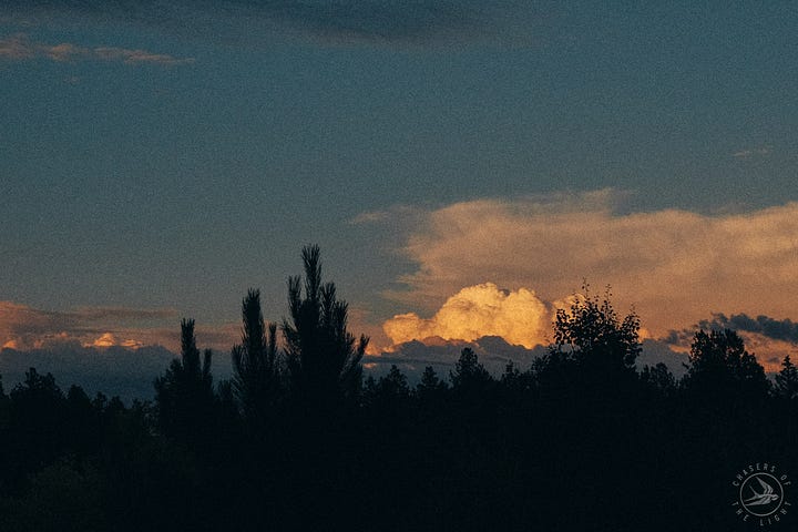 #fuji #fujix100f #fujifilm #filmy #tylerknott #tylerknottgregson #chasersofthelight