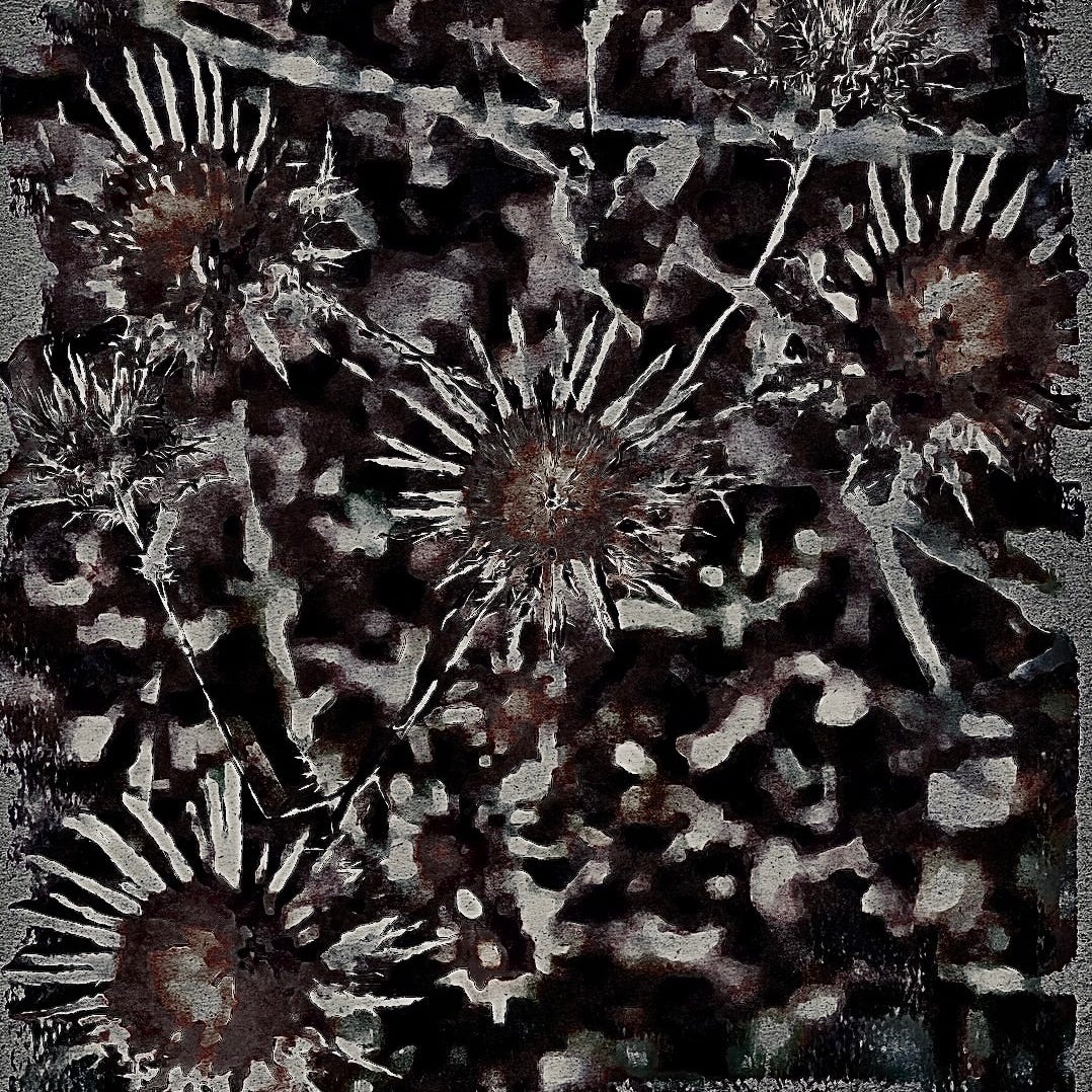 Mark Farley’s wandering’s