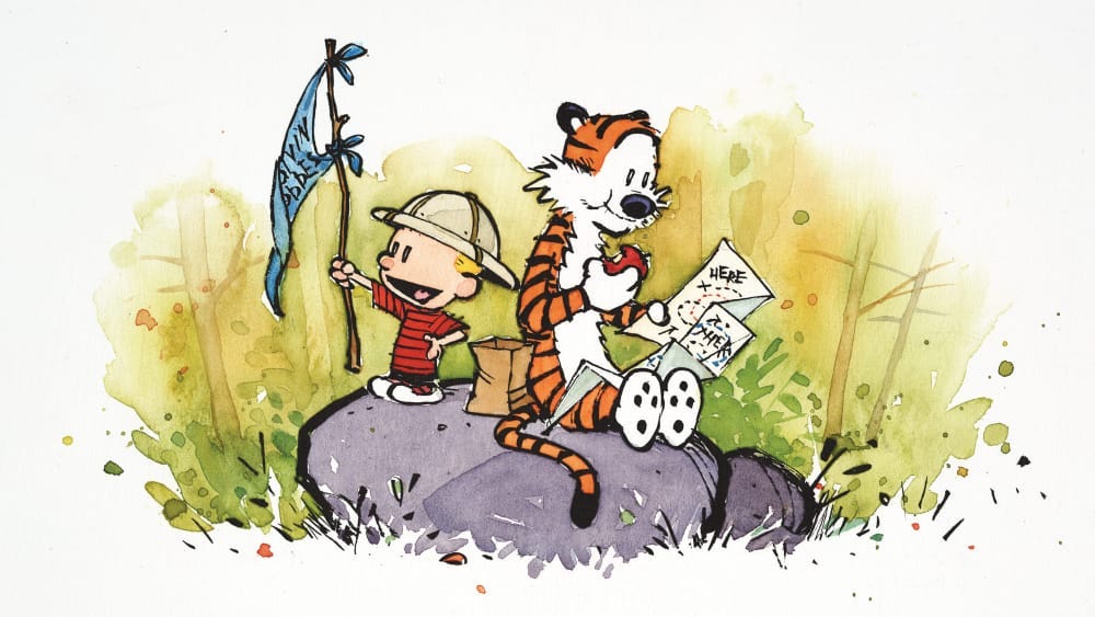Calvin and Hobbes Calvin and Hobbes