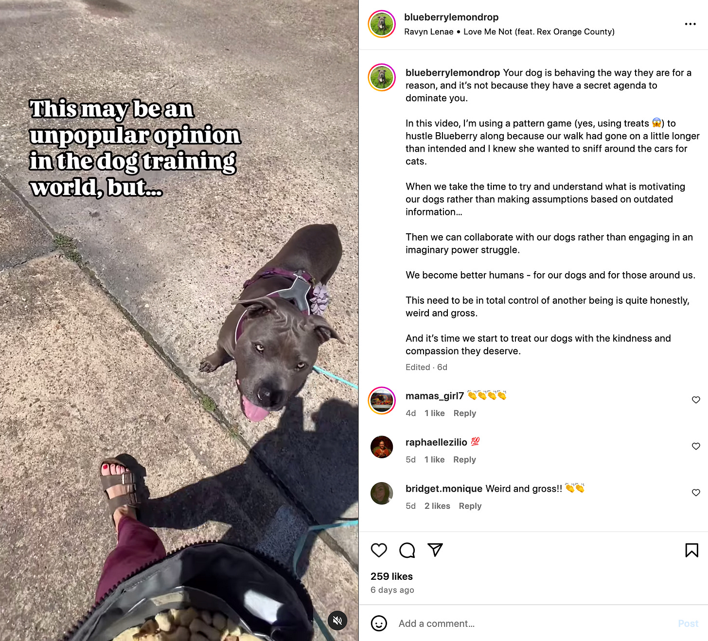 a screenshot of blueberrylemondrop's reel dispelling alpha dog myths