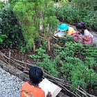 Eco Literacy | CURRICULUM