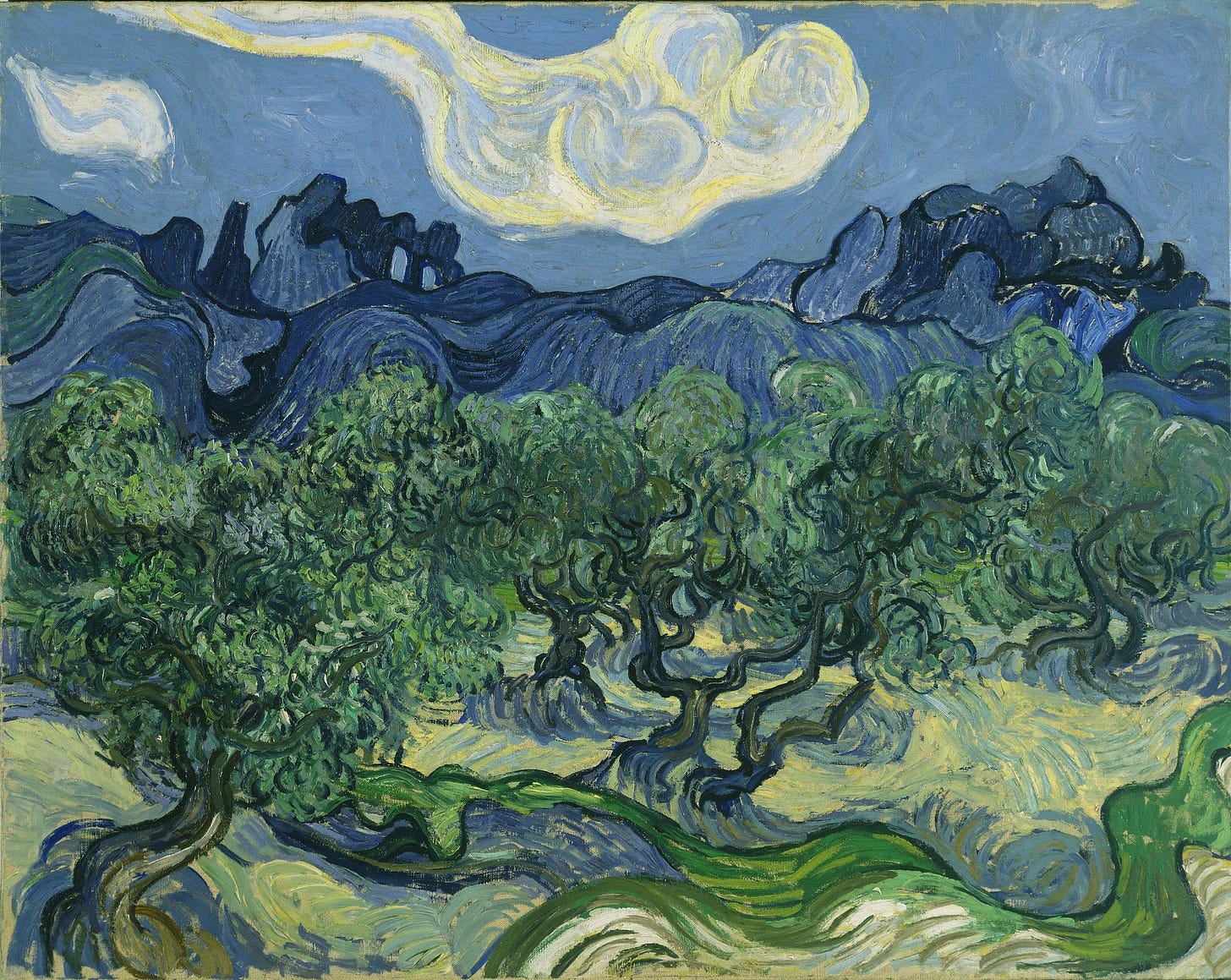 A painting of intense green gnarled old olive trees with distant rolling blue mountains behind under a light blue sky with a large fluffy white cloud in the center A painting of intense green gnarled old olive trees with distant rolling blue mountains behind under a light blue sky with a large fluffy white cloud in the center