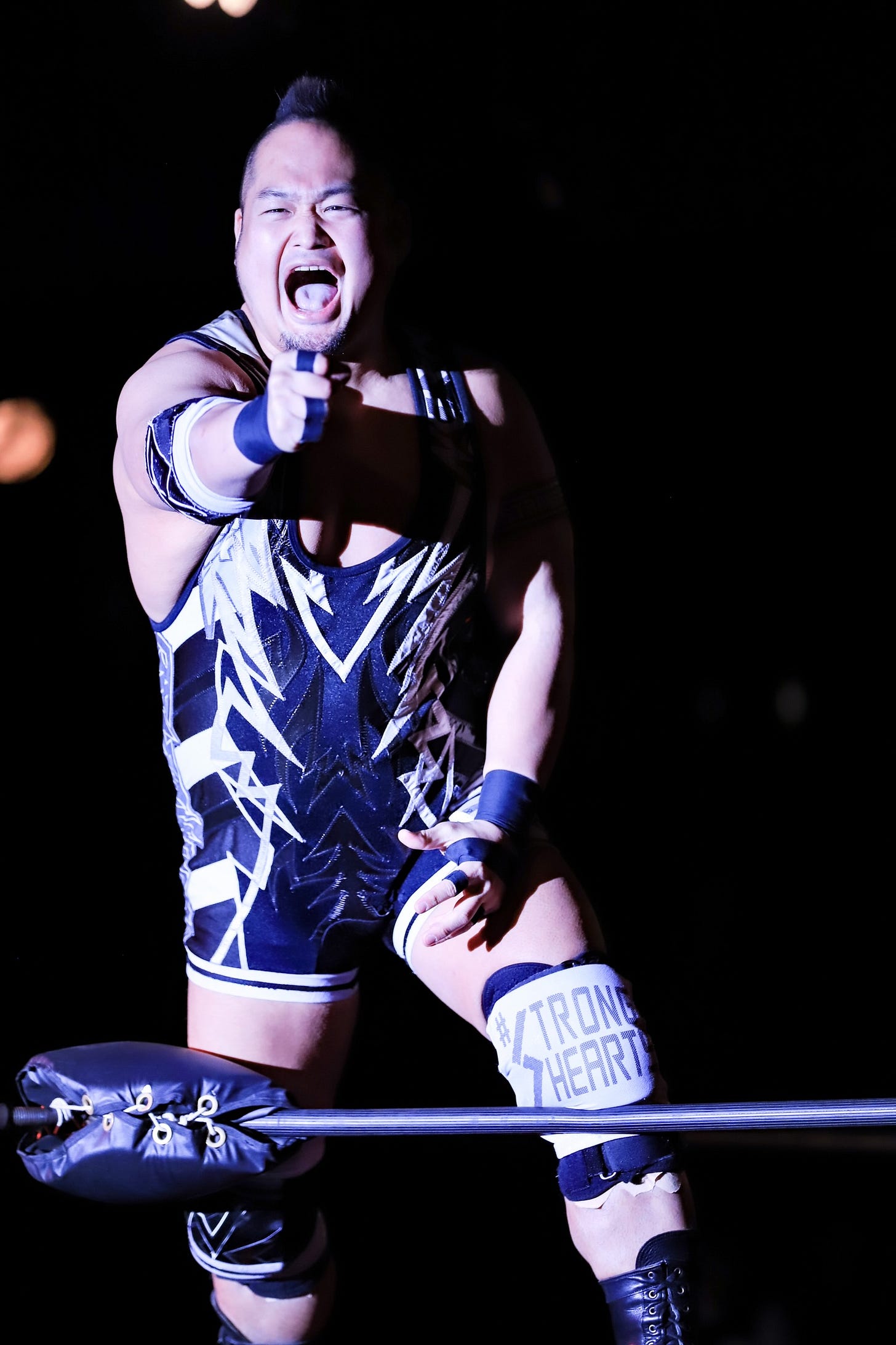 Shigehiro Irie | Puroresu System Wiki | Fandom