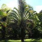 EARTH SKY ALIGNMENT WITHIN US