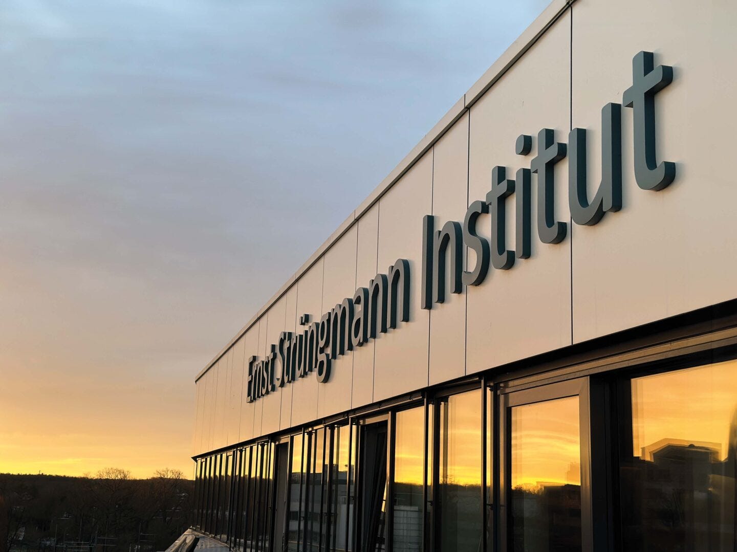 Ernest Strungmann Institute with sunrise in windows. Ernest Strungmann Institute with sunrise in windows.