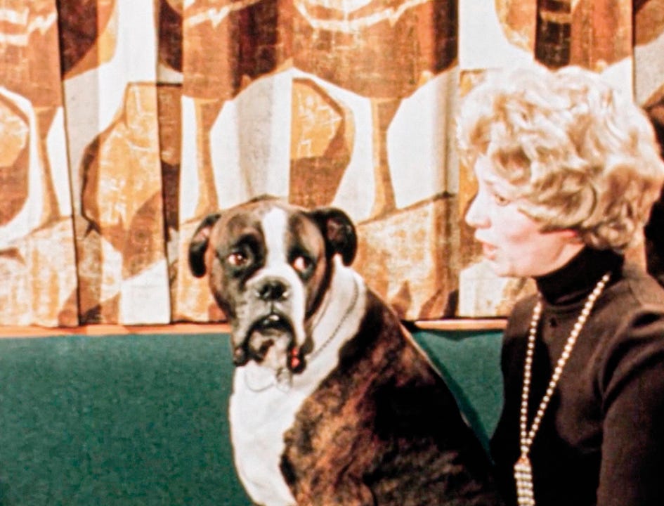 The vicious genius of Adam Curtis | The Spectator