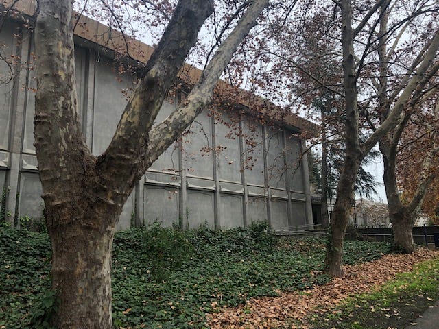 A concrete building behind trees