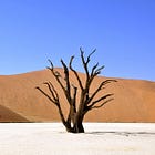 Compassion & Judgement