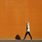 Data-Driven vs. Data-Informed