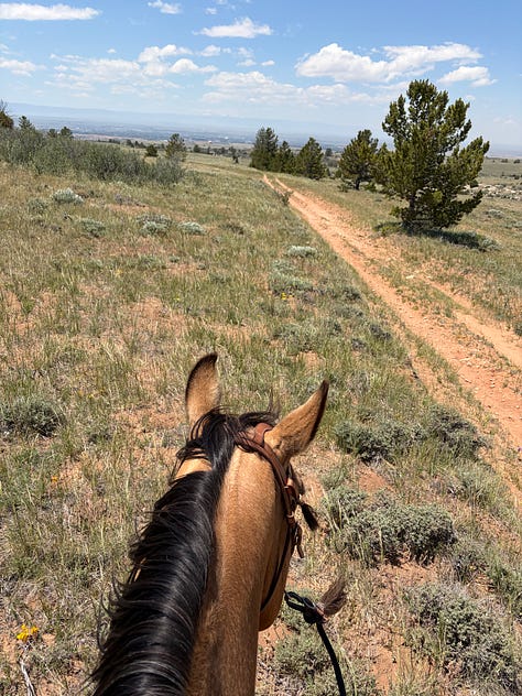 Images of the author’s time hiking, horseback riding, camping, fihsing, etc. in and around Laramie, WY