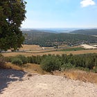 The Healthy Jew’s Guide for Journeying in Israel (Part 2)