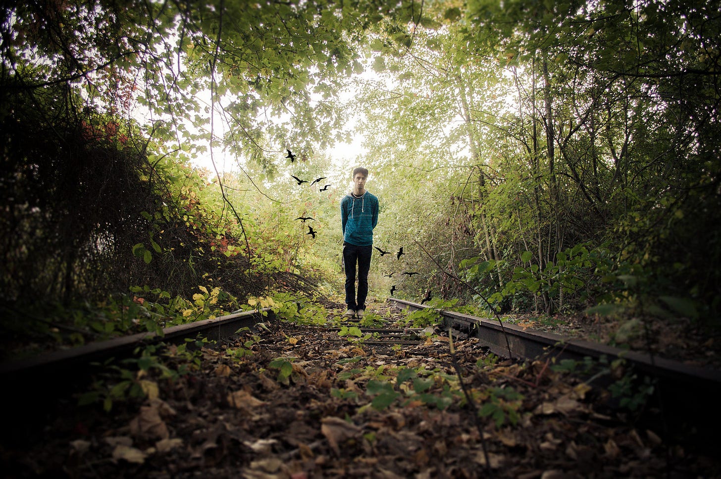 Photo: a young man standing between two railroad rails, deep in what appears to be a jungle or forest. Photo: a young man standing between two railroad rails, deep in what appears to be a jungle or forest.