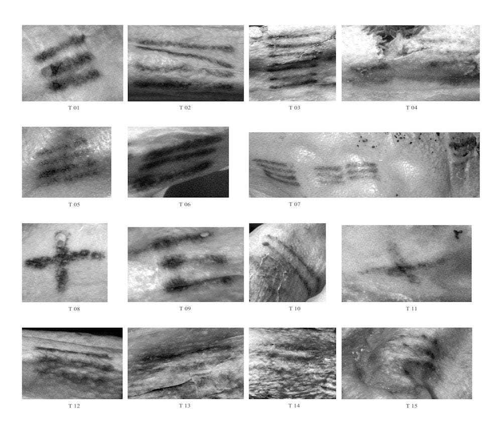 Fresh Ink: Mummified Iceman Has New Tattoo | Live Science