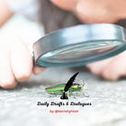 Curiosity Over Criticism