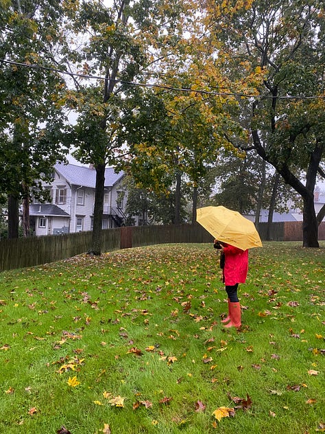 Photos in the rain with umbrellas