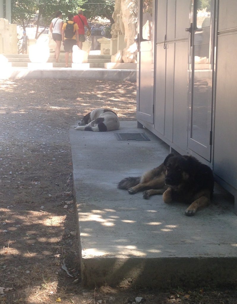 Hey Buddies. What you doin' out here? Hey Buddies. What you doin' out here?