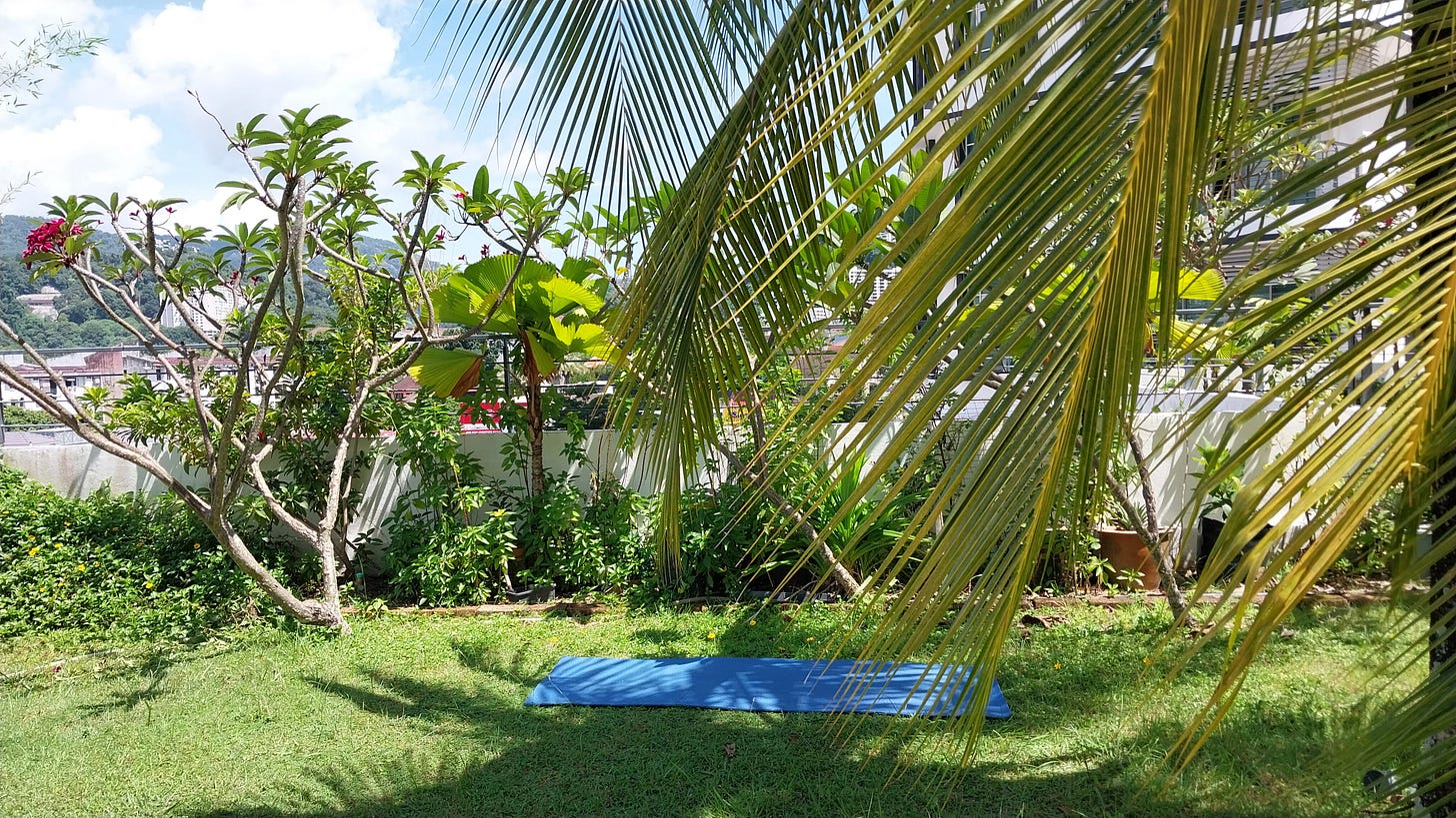 Yoga Mat under the shade of a coconut tree in a tropical garden