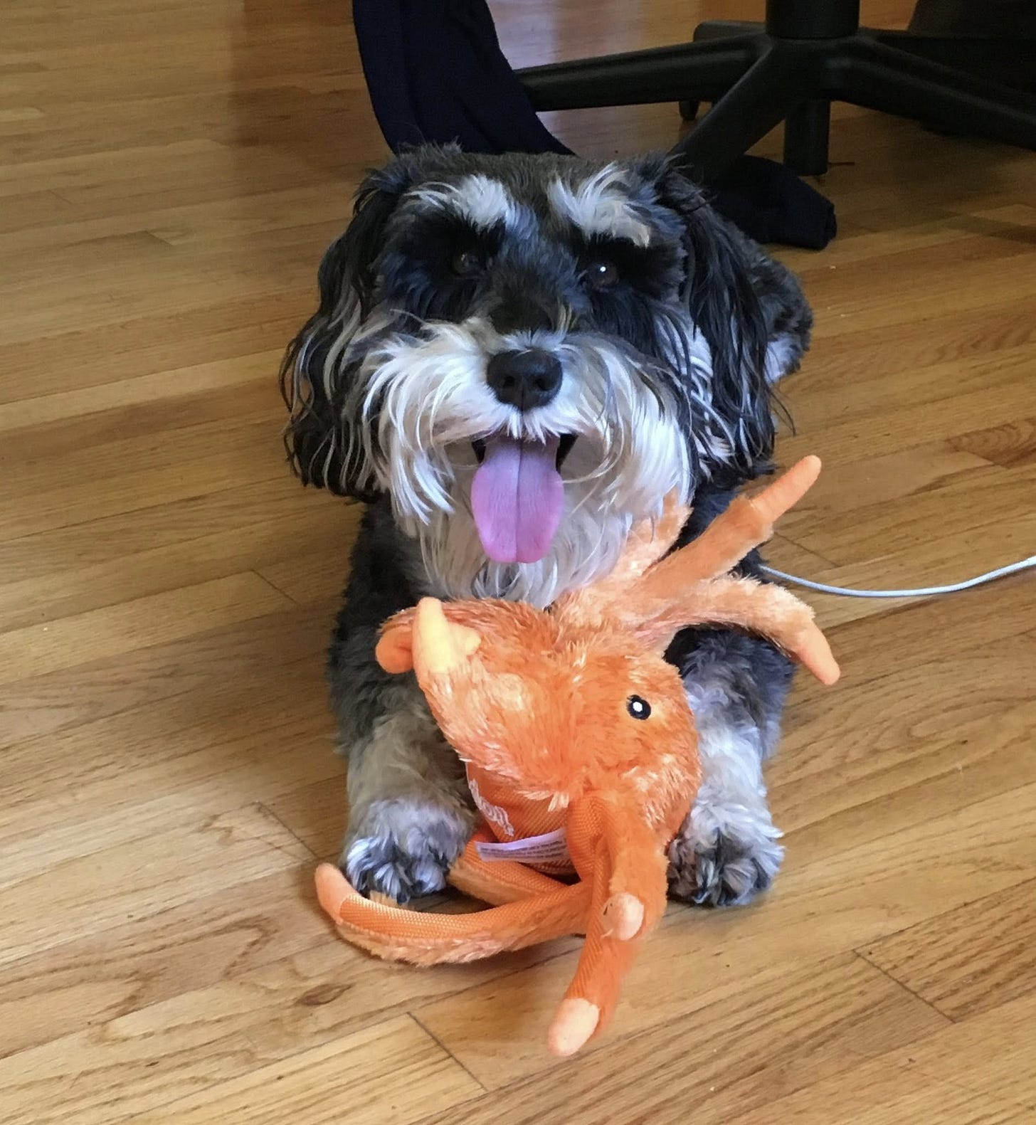 May be an image of toy May be an image of toy