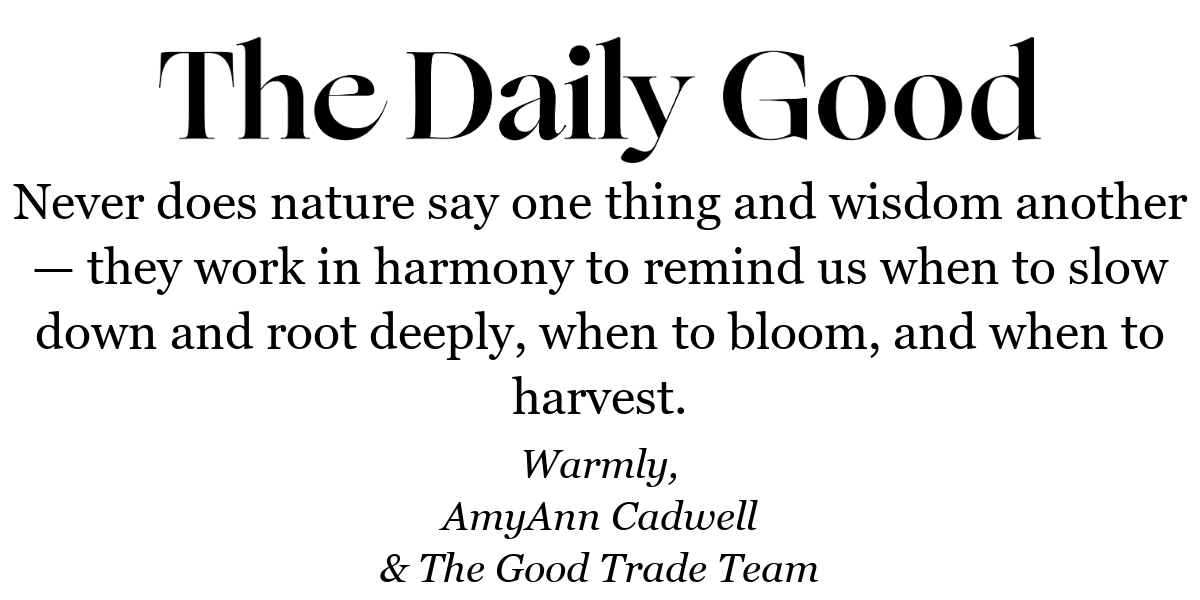 Never does nature say one thing and wisdom another — they work in harmony to remind us when to slow down and root deeply, when to bloom, and when to harvest.