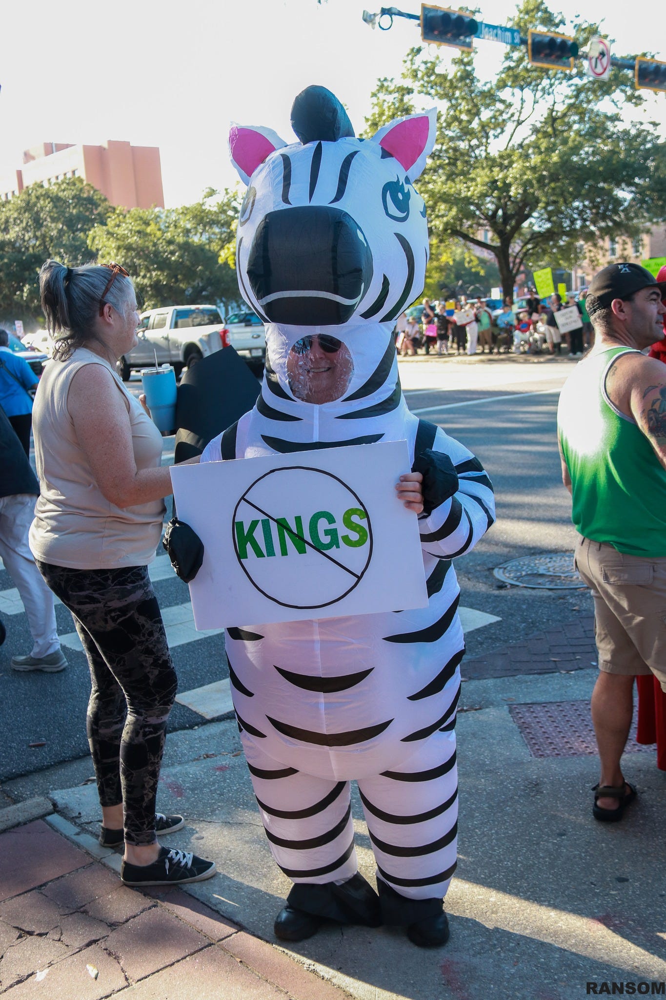May be an image of zebra and text that says 'KINGS'