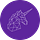 Unicorn Solutions Substack