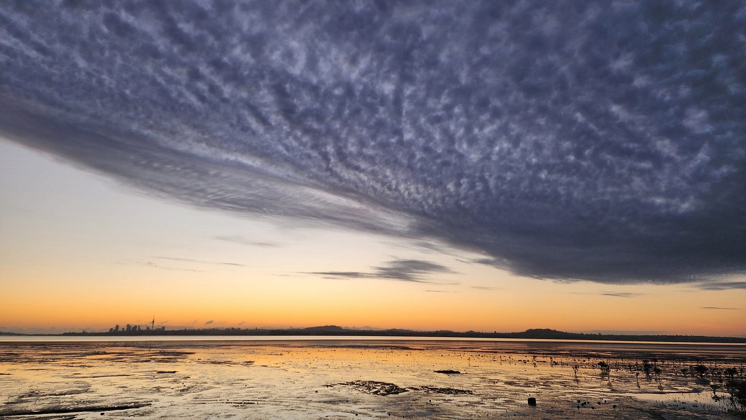 Te Atatu yesterday. Photo: Grant Routen.