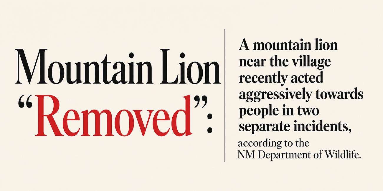 New Mexico Department of Wildlife Removes Aggressive Cougar Near Cloudcroft