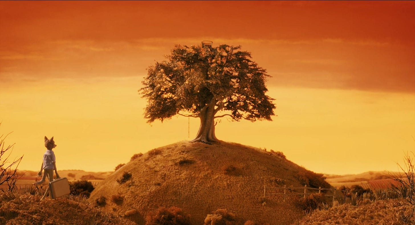 One Perfect Shot on X: "FANTASTIC MR. FOX (2009) Cinematography by Tristan  Oliver Directed by Wes Anderson Explore a list of things we learned from  this film's DVD commentary: https://t.co/zrHBOFdFBh  https://t.co/KbJlkIZZT0" /