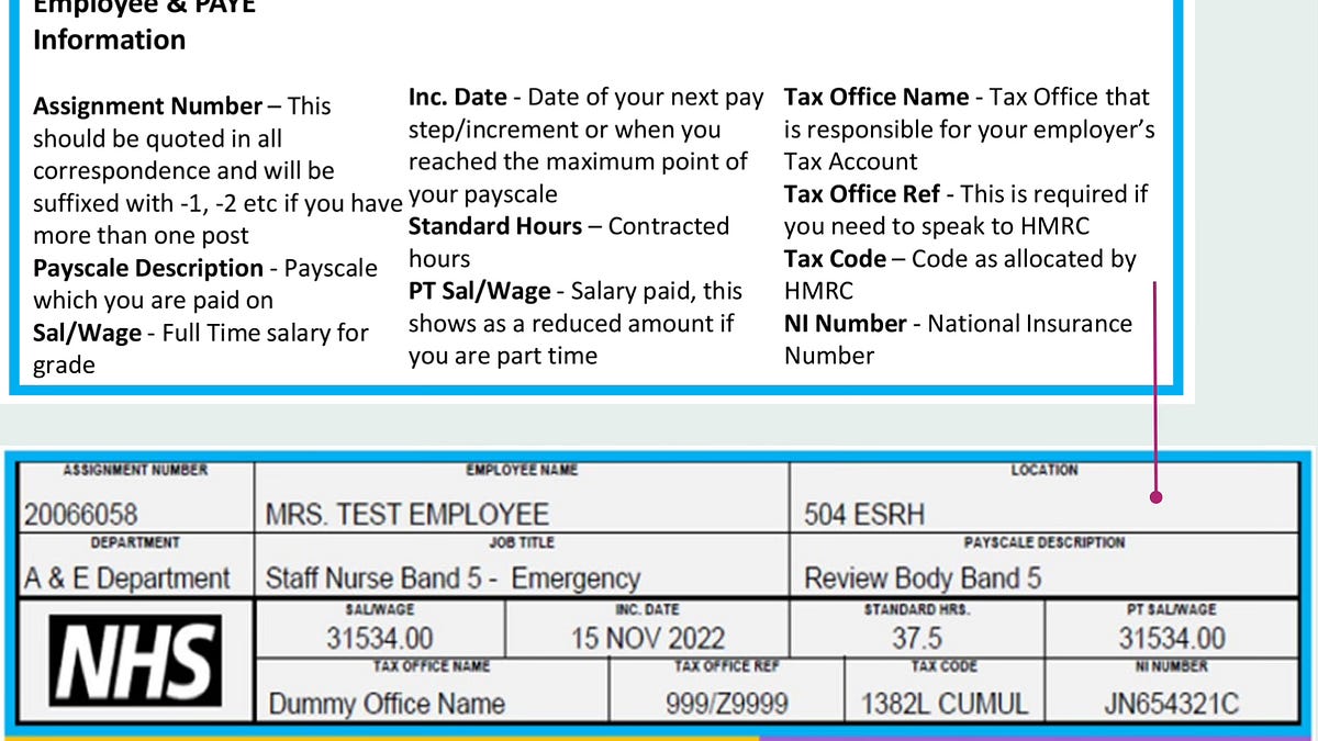 Sd Number Understanding your NHS payslip - Patient Returns